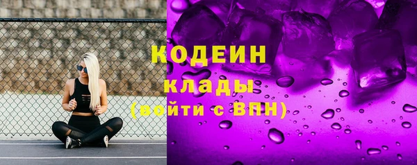 крисы Армянск