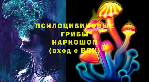 крисы Армянск
